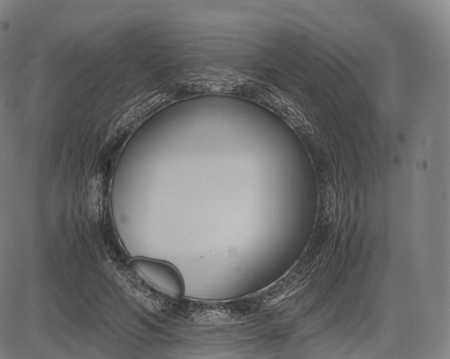 X0000083010594200702161553