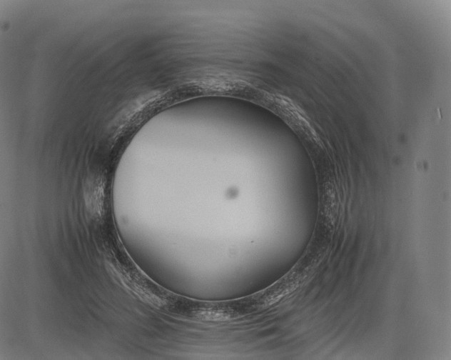 X0000083010596200702161553