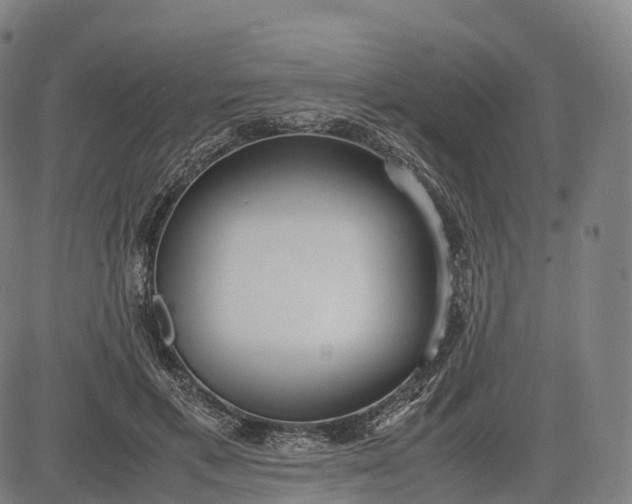 X0000083010597200702161553