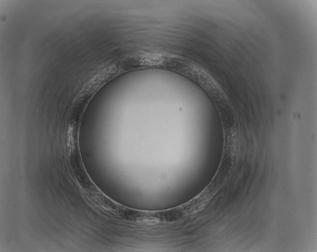 X0000083010598200702161553