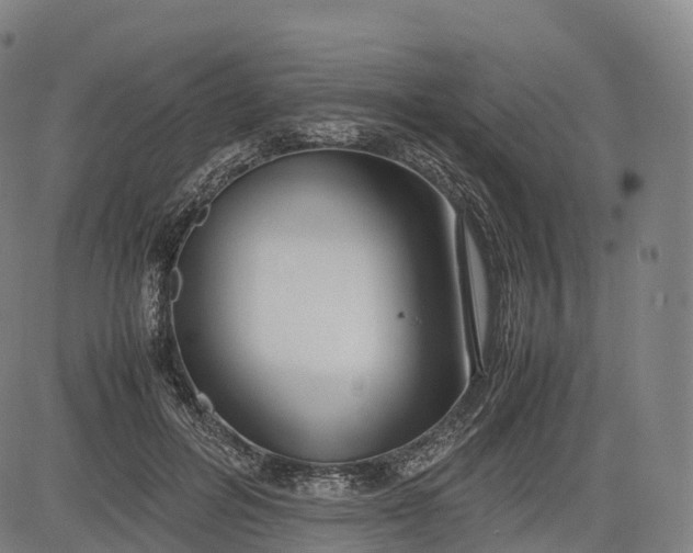 X0000083010600200702161553