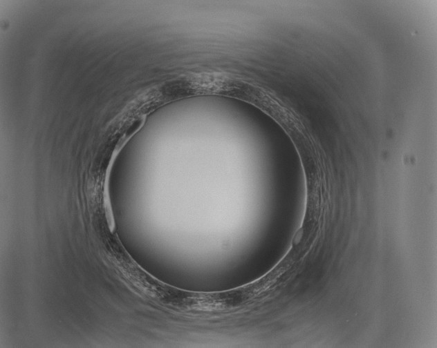 X0000083010601200702161553