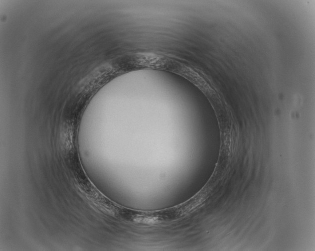 X0000083010602200702161553