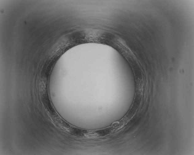 X0000083010603200702161553