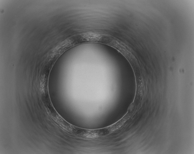 X0000083010604200702161553