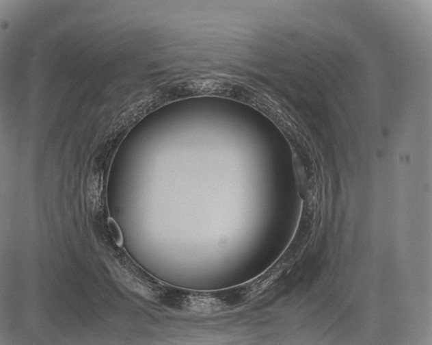 X0000083010605200702161553