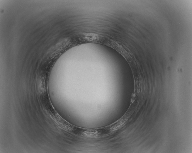 X0000083010606200702161553