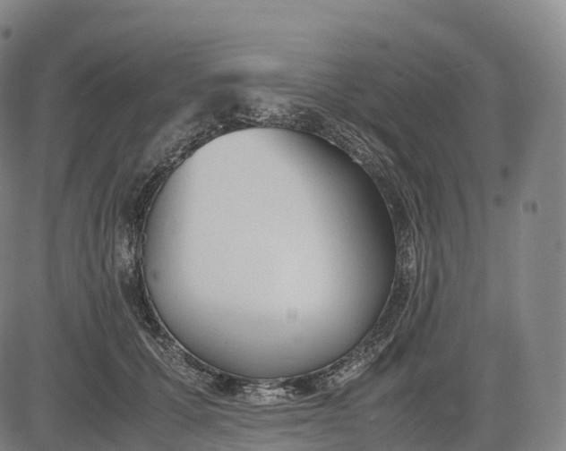 X0000083010607200702161553