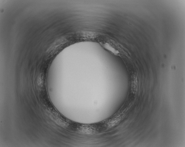 X0000083010608200702161553