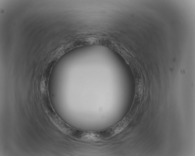 X0000083010611200702161553