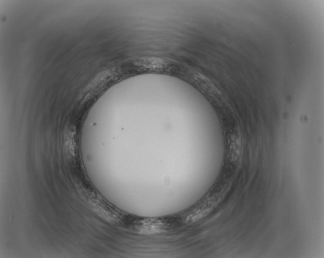 X0000083010612200702161553