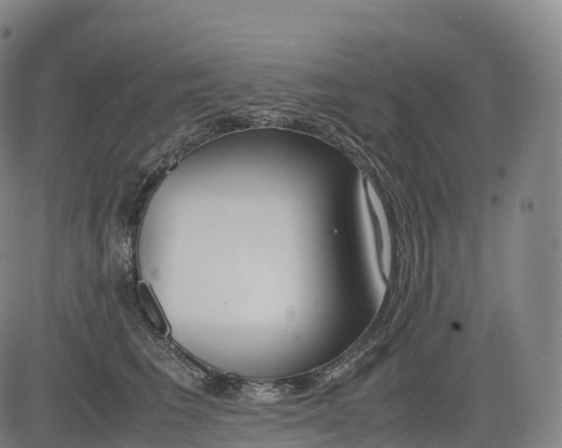 X0000083010613200702161553