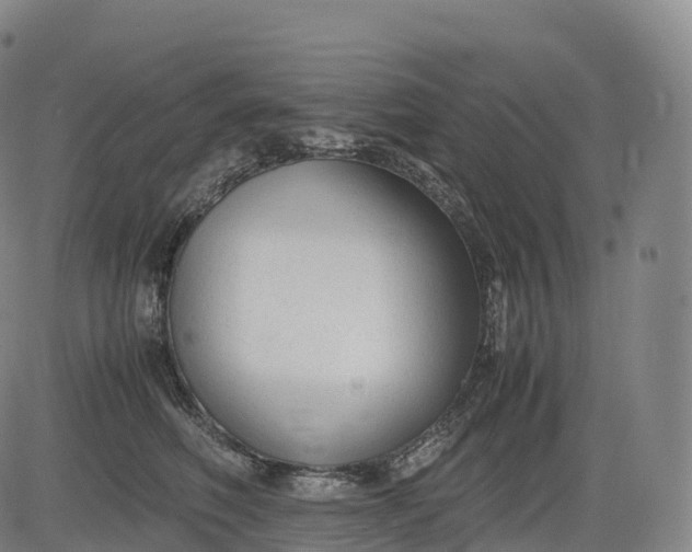 X0000083010614200702161553