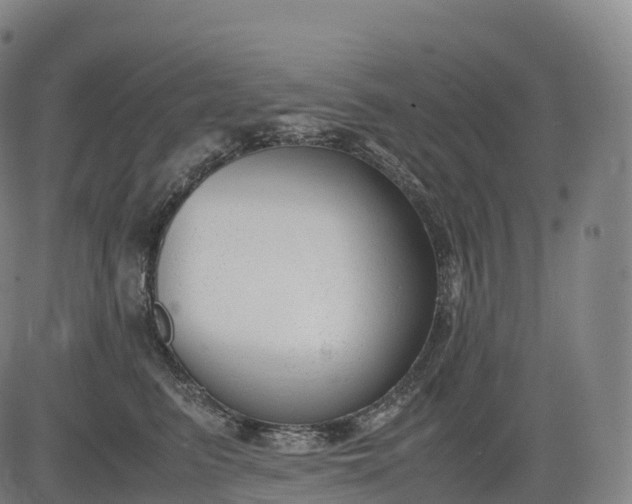 X0000083010615200702161553