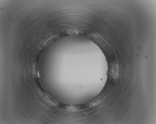 X0000083010616200702161553