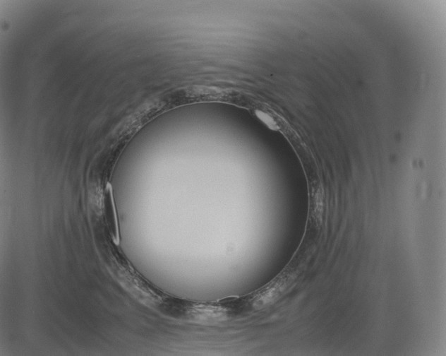 X0000083010617200702161553