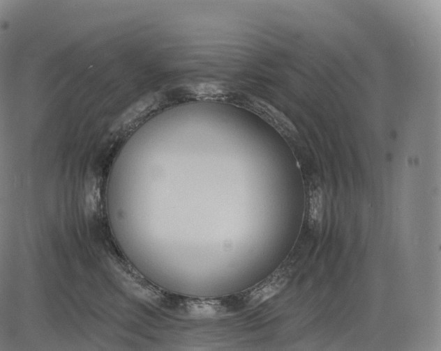 X0000083010618200702161553