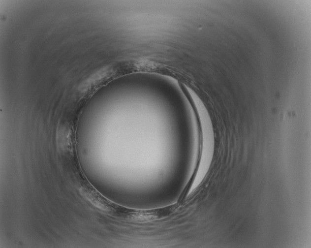 X0000083010619200702161553