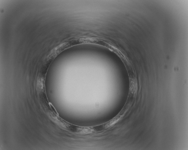 X0000083010621200702161553