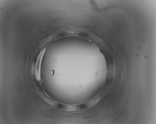 X0000083010623200702161553