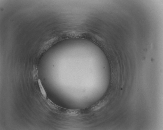 X0000083010624200702161553