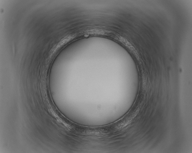 X0000083010625200702161552