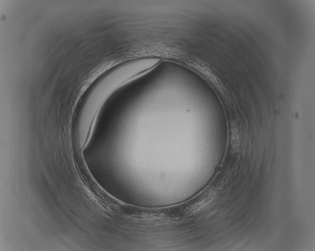 X0000083010626200702161552