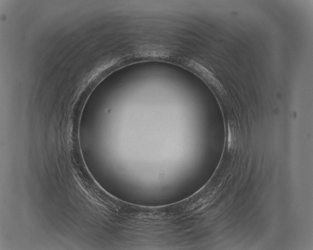 X0000083010627200702161552