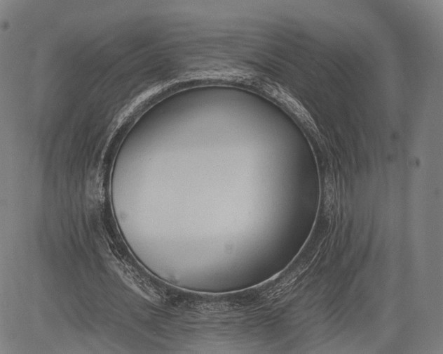 X0000083010628200702161552