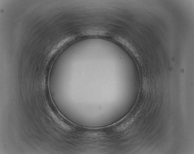 X0000083010629200702161552