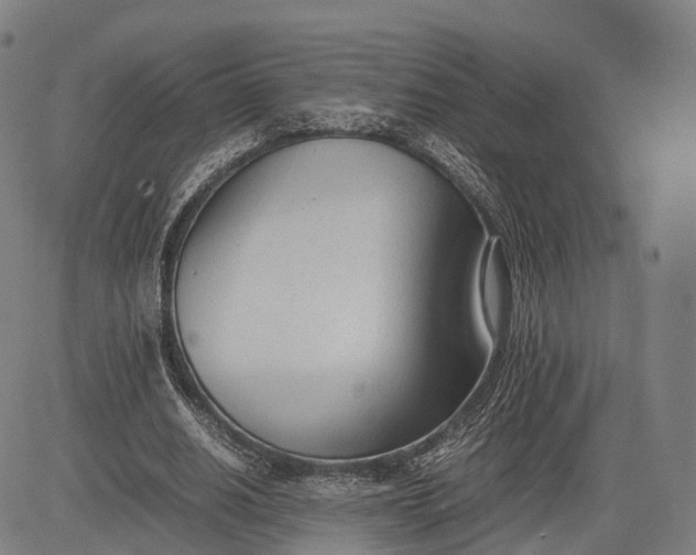 X0000083010630200702161552