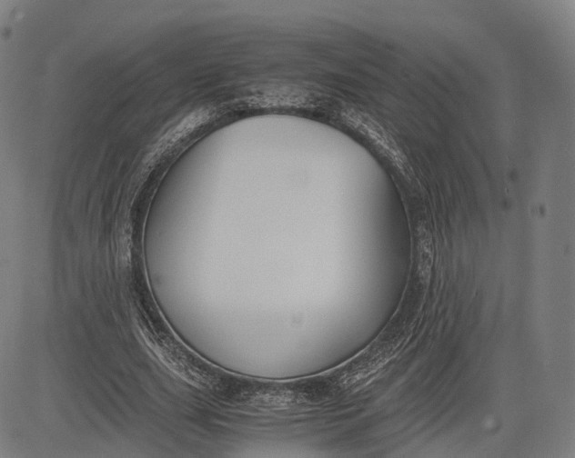 X0000083010631200702161552