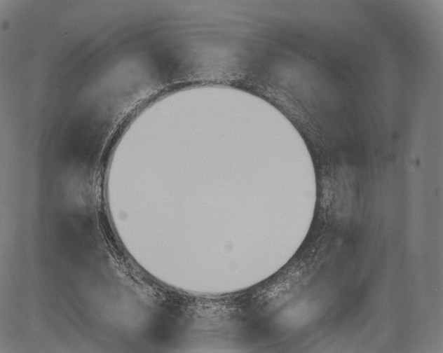 X0000083010632200702161552