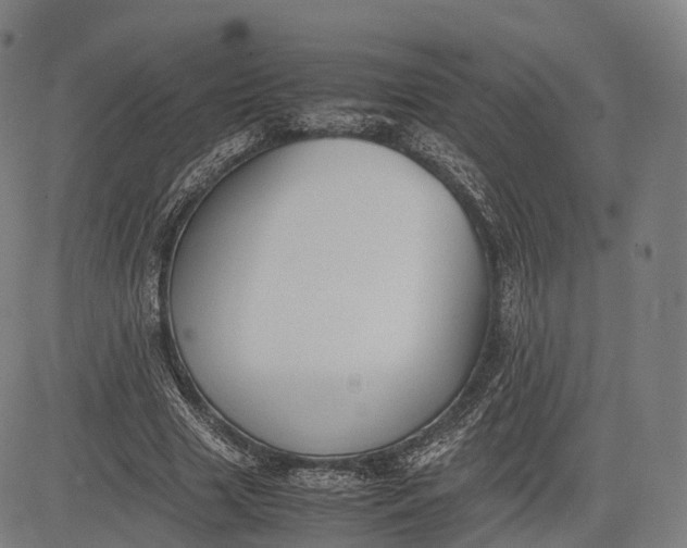 X0000083010633200702161552