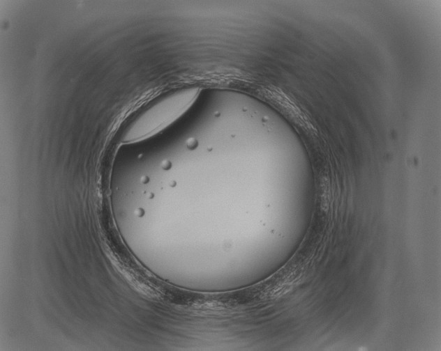 X0000083010634200702161552