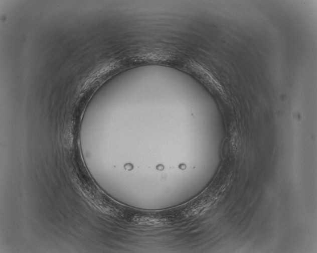 X0000083010635200702161552