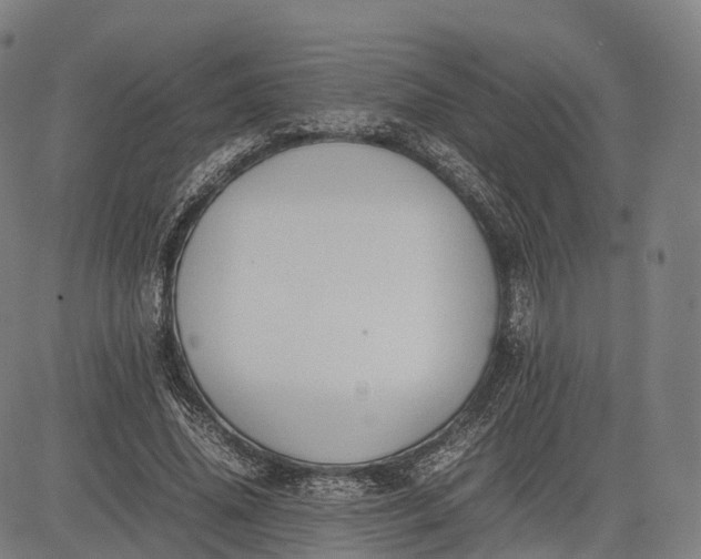 X0000083010636200702161552