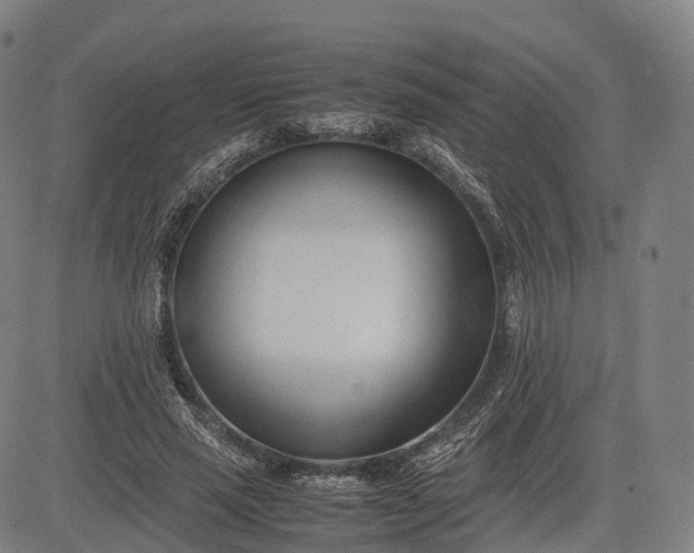 X0000083010637200702161552