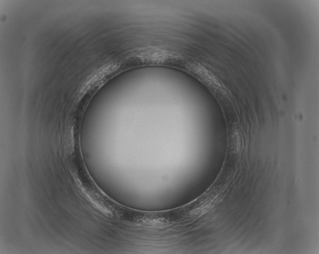 X0000083010638200702161552