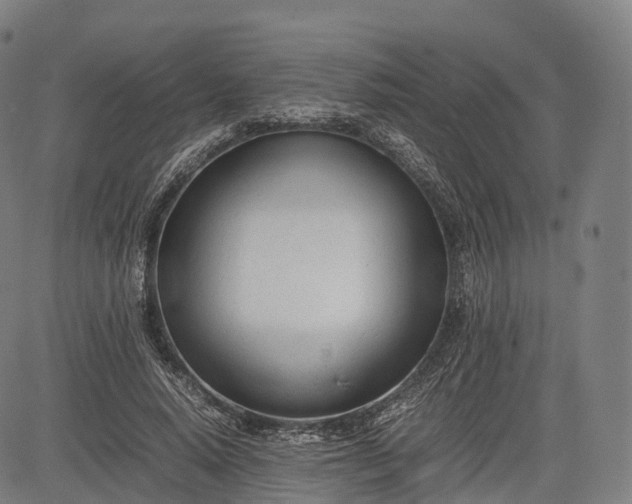 X0000083010640200702161552