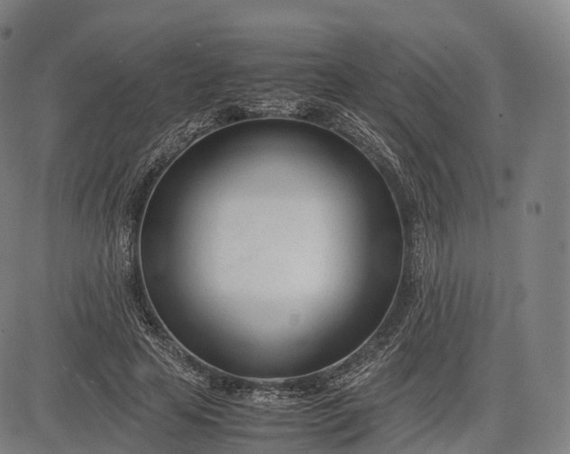 X0000083010641200702161552