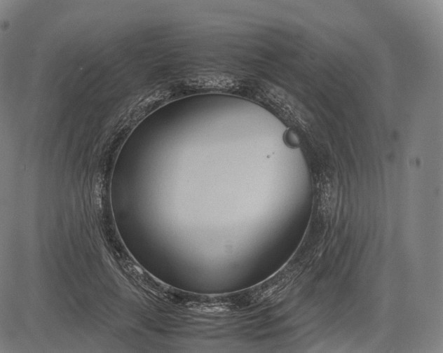 X0000083010643200702161552