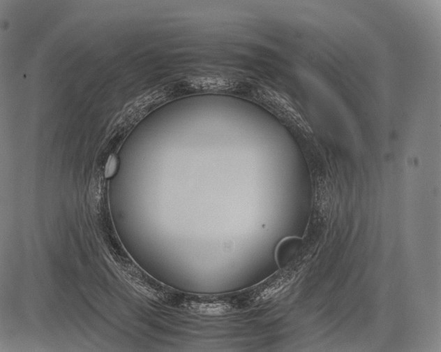 X0000083010645200702161552