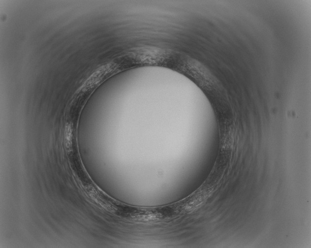 X0000083010646200702161552