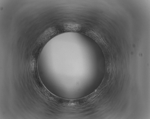 X0000083010647200702161552