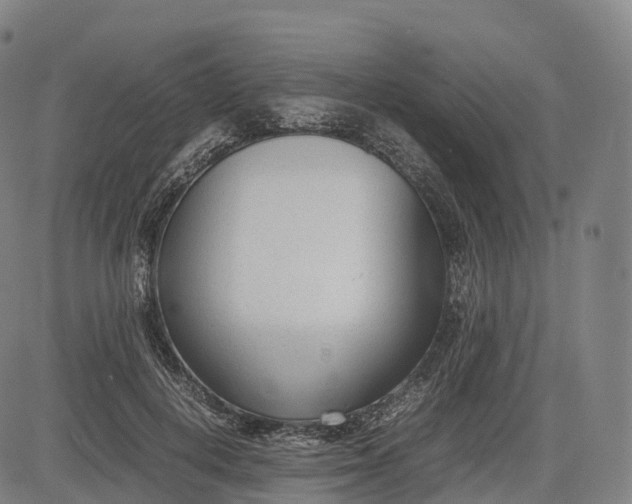 X0000083010648200702161552