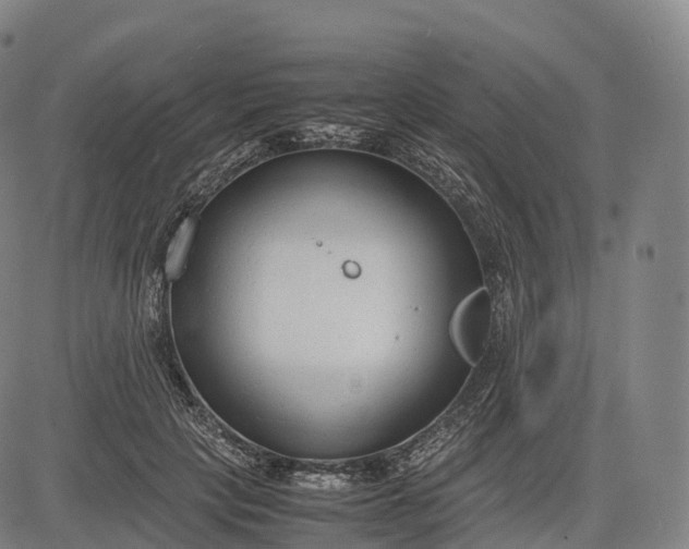 X0000083010649200702161552