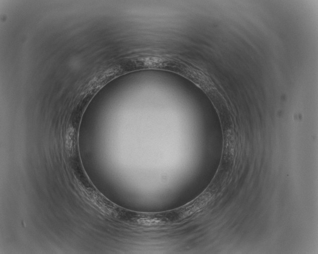 X0000083010650200702161552