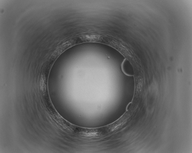 X0000083010651200702161552