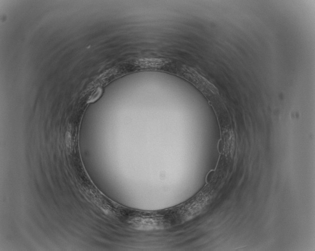 X0000083010655200702161552